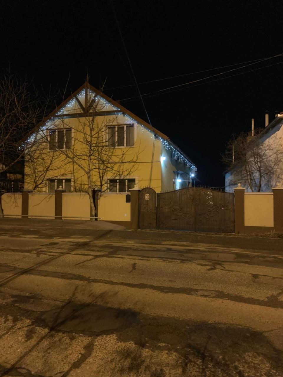 Міні Готель Вілла Вікторія Berehove  Eksteriør bilde